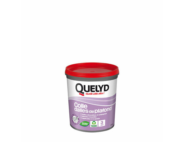Colle pour dalles de plafond en polystyrène - 1kg - Quelyd - Brico Dépôt