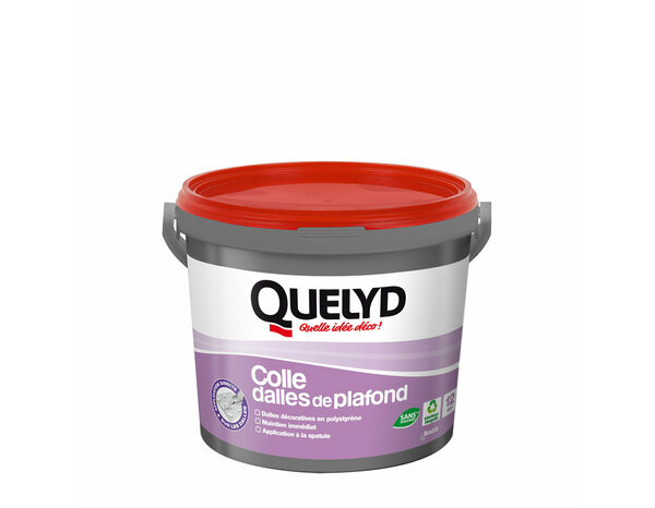 Colle pour dalles de plafond en polystyrène - 4kg - Quelyd - Brico Dépôt