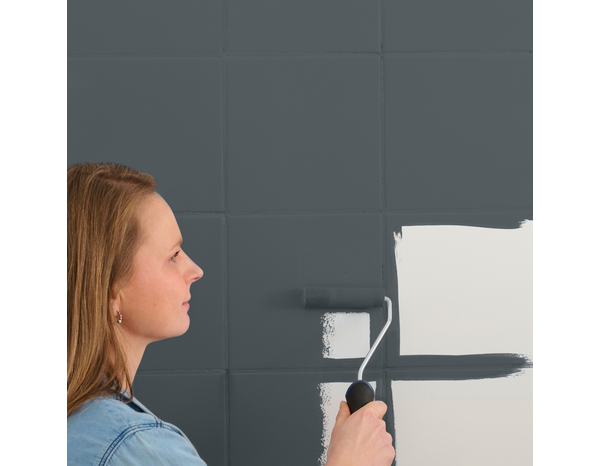 Peinture faïence et lambris Mat 0,75 L Gris Anthracite - Evalux - Brico Dépôt