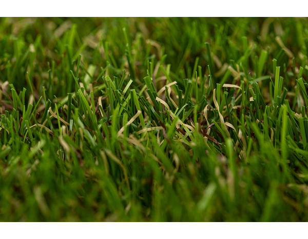 Gazon artificiel Ep. 37 mm - Brico Dépôt