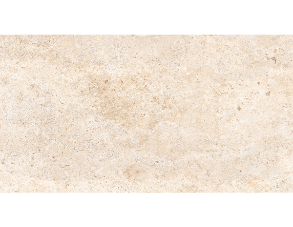 Carrelage de sol intérieur "Fontainebleau" l. 60 x L. 120 cm - Brico Dépôt