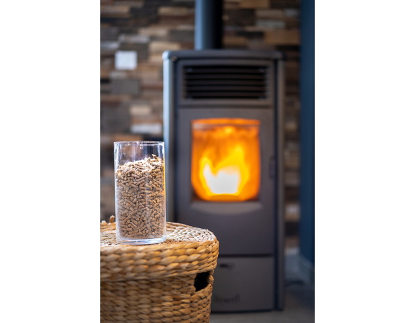 Kit ramonage pour poêle à pellet - Pyrofeu - Brico Dépôt