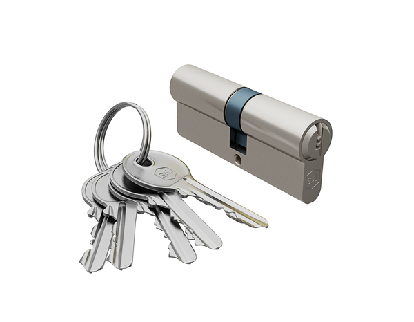 Serrure cylindre 6 goupilles satin nickel 35 X 45 mm - Brico Dépôt