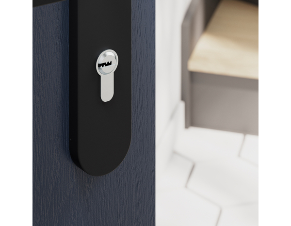 Serrure cylindre 6 goupilles satin nickel 30 X 50 mm - Brico Dépôt