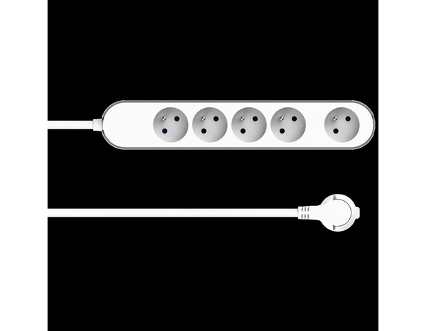 Bloc 5 prises 1,5 m gris et blanc - Brico Dépôt