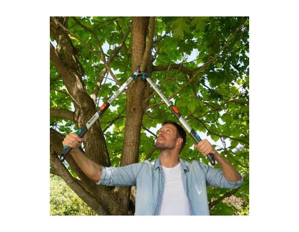 Coupe branches télescopique "TeleCut" 650-900 B - Gardena - Brico Dépôt