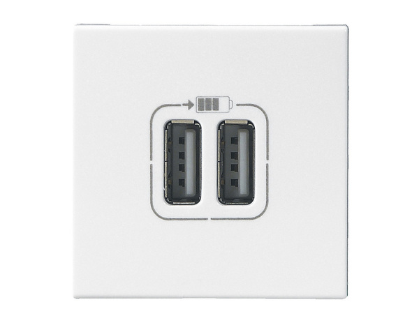 Prise double USB Type-A 2,4A "Mosaic" - Legrand - Brico Dépôt