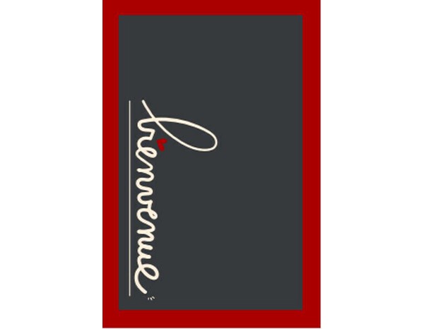 Tapis intérieur de propreté "Bienvenue" gris et rouge - 40 x 60 cm - Brico Dépôt