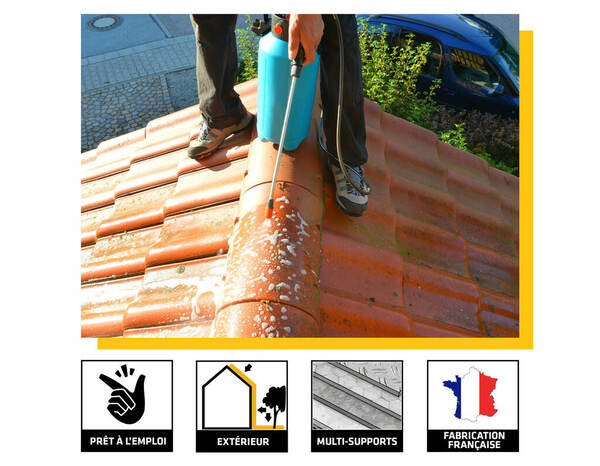 Traitement algicide- fongicide anti-dépôt vert ProSelect - bidon 5 L - Sika - Brico Dépôt