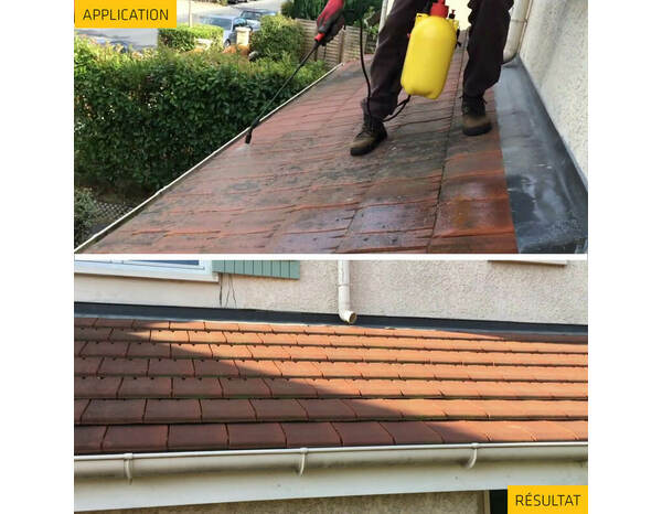 Traitement  algicide- fongicide anti-dépôts verts ProSelect - pulvérisateur 5 L - Sika - Brico Dépôt