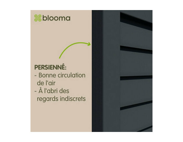 Portail aluminium battant Celtis 3m - Marque BLOOMA - Brico Dépôt