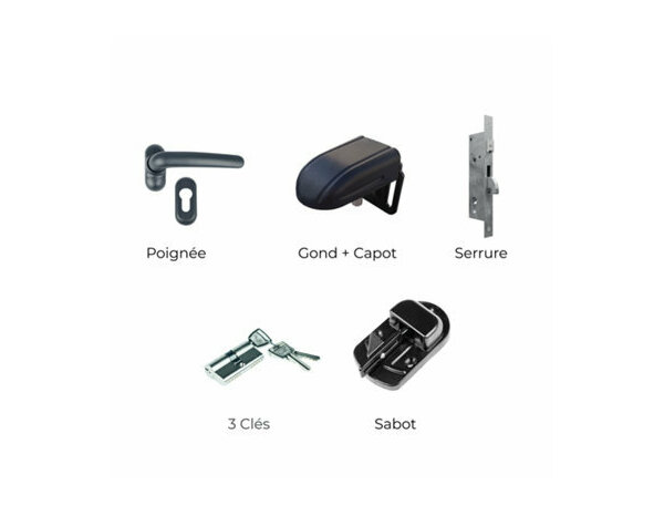 Portail aluminium battant Celtis 3m - Marque BLOOMA - Brico Dépôt