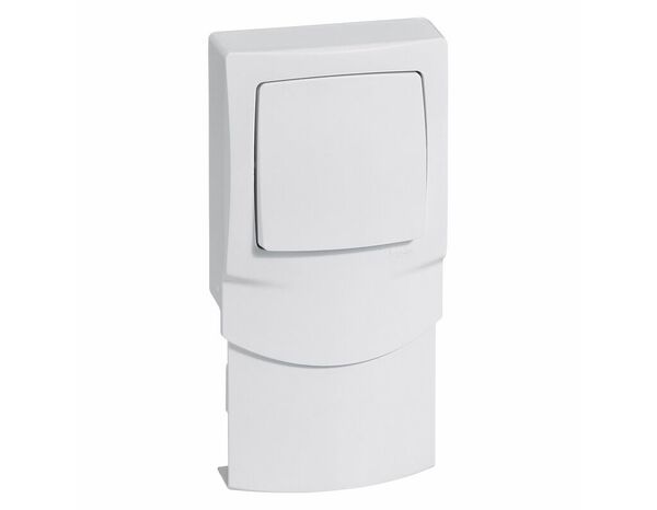 Va-et-vient cadre vertical 16mm appareillage saillie blanc - Legrand - Brico Dépôt