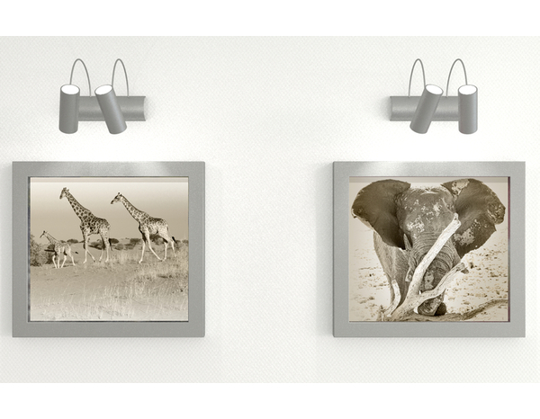 Chevilles à expansion UV II 5mm - 1000PC en nylon pour béton et plaque de plâtre - Fischer - Brico Dépôt