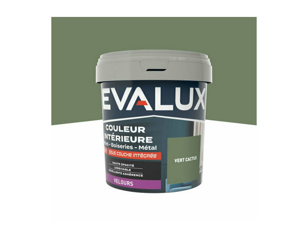 Peinture Vert cactus 0l75 velours 2en1 - Evalux - Brico Dépôt