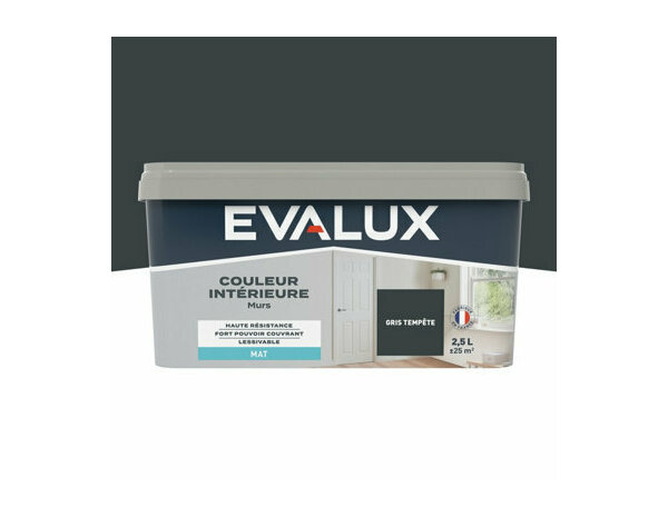 Peinture Gris tempete 2l5 mat - Evalux - Brico Dépôt
