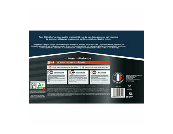 Peinture Blanc 5l satin 2 en 1 - Evalux - Brico Dépôt