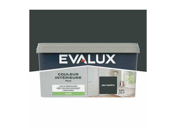 Peinture Gris tempete 2l5 satin - Evalux - Brico Dépôt
