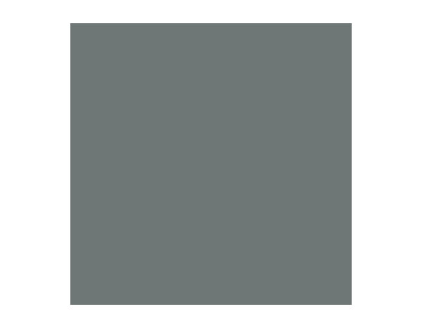 Peinture Gris ardoise 0l75 velours 2en1 - Evalux - Brico Dépôt