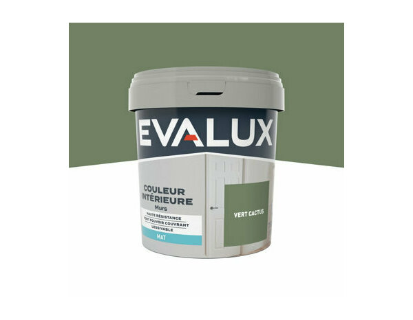 Peinture Vert cactus 0l75 mat - Evalux - Brico Dépôt