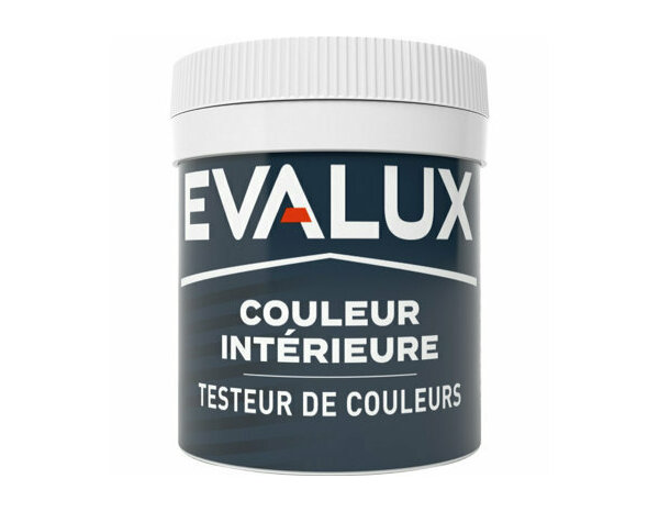 Peinture Gris tempete 50ml mat - Evalux - Brico Dépôt