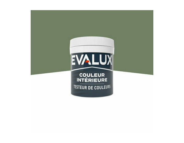 Peinture Vert cactus 50ml mat - Evalux - Brico Dépôt