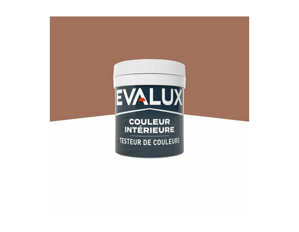 Peinture Terre cuite 50ml mat - Evalux - Brico Dépôt