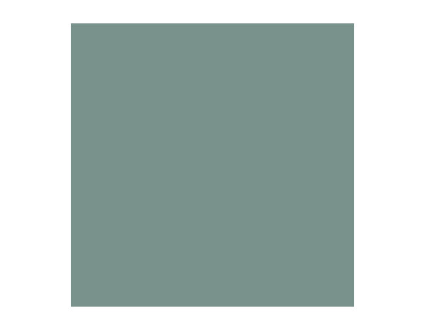 Peinture Vert jade 0l75 mat - Evalux - Brico Dépôt