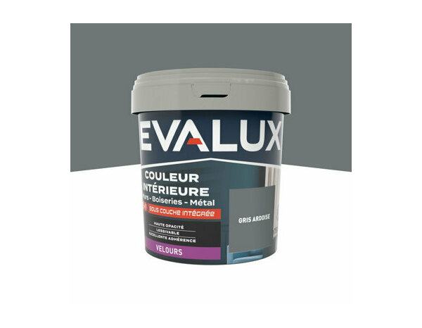 Peinture Gris ardoise 0l75 velours 2en1 - Evalux - Brico Dépôt