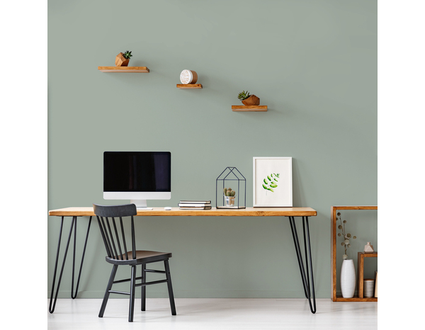 Peinture Vert ficus 0l5 velours - Ripolin - Brico Dépôt
