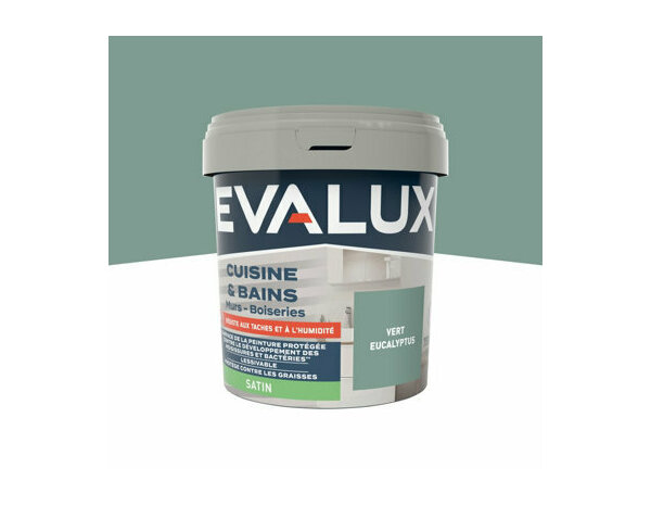 Peinture Vert eucalyp 0l75 satin c&b - Evalux - Brico Dépôt