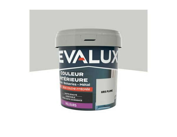 Peinture Gris plume 0l75 velours 2en1 - Evalux - Brico Dépôt