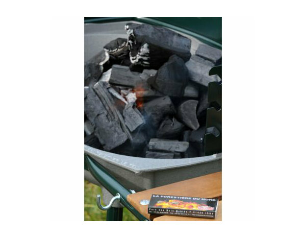 Charbon de bois 20 litres - Brico Dépôt