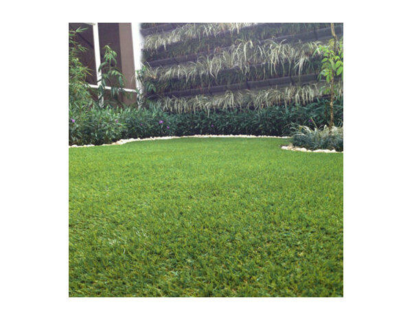 Rouleau de gazon artificiel  2 X 4M Ep.20 mm - Brico Dépôt