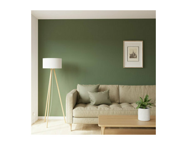 Peinture Vert cactus 0l75 velours 2en1 - Evalux - Brico Dépôt