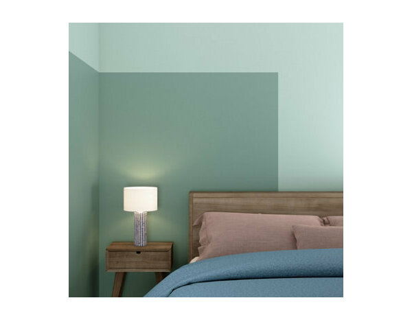 Peinture Vert jade 0l75 mat - Evalux - Brico Dépôt