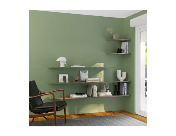 Peinture Vert cactus 0l75 velours 2en1 - Evalux - Brico Dépôt