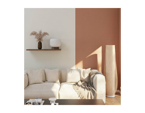 Peinture Terre cuite 0l75 mat - Evalux - Brico Dépôt