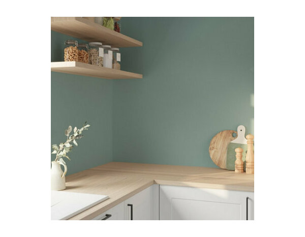 Peinture Vert eucalyp 0l75 satin c&b - Evalux - Brico Dépôt