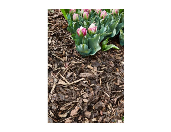 Copeaux d'écorces de conifères gros calibre couleur marron - 70L - Brico Dépôt