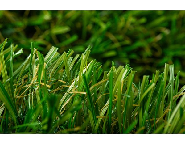 Gazon synthétique 200 monofilament Grass/Olive - Brico Dépôt