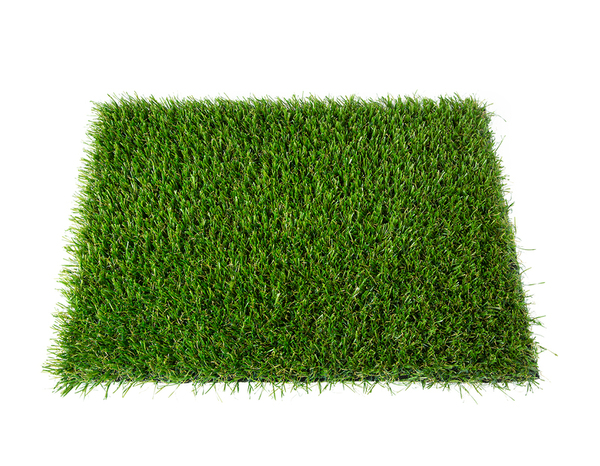 Gazon synthétique 200 monofilament Grass/Olive - Brico Dépôt