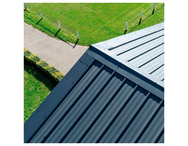 Panneau sandwich 3100 x 1000 mm x Ep. 40 mm - BACACIER - Brico Dépôt