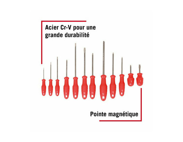 Lot de 12 tournevis - Forge steel - Brico Dépôt