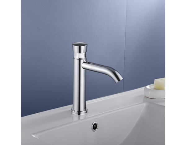 Lave-mains bouton poussoir EDOUARD ROUSSEAU inox - H. 17,5 cm débit 6 L/min - Edouard Rousseau - Brico Dépôt