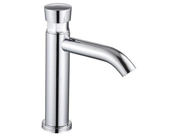 Lave-mains bouton poussoir EDOUARD ROUSSEAU inox - H. 17,5 cm débit 6 L/min - Edouard Rousseau - Brico Dépôt