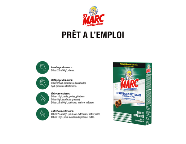 Lessive pro résine de pin 1 Kg - Saint Marc - Brico Dépôt