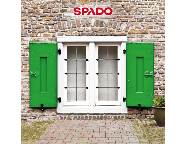 Destructeur de mousse pour mûrs, sols et façades 5 L - Spado - Brico Dépôt