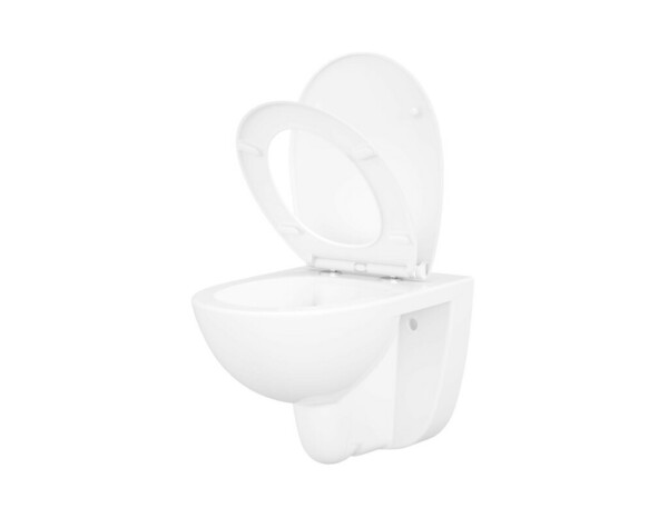 Cuvette WC suspendue céramique sans rebord NF VIONA 36,2 x 36,4 x 53,2 cm - Cooke and Lewis - Brico Dépôt