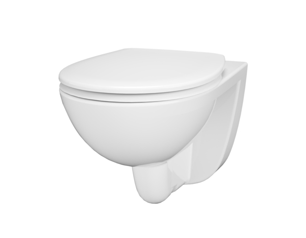 Cuvette WC suspendue céramique sans rebord NF VIONA 36,2 x 36,4 x 53,2 cm - Cooke and Lewis - Brico Dépôt